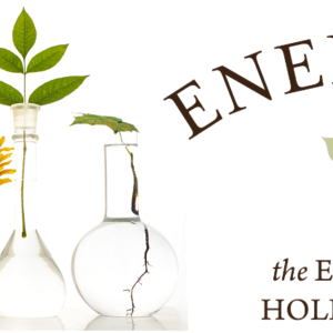 The Ongoing Fight for Homeopathy in America