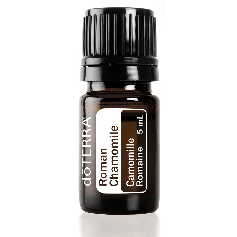 Roman Chamomile