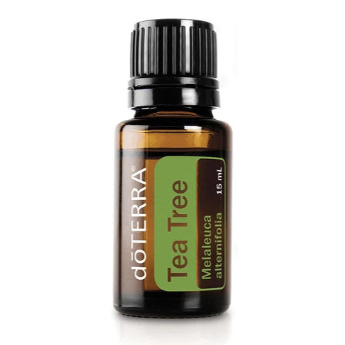 Tea Tree (Melaleuca alternifolia) oil from dōTERRA®