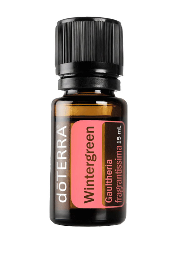 Wintergreen (Gaultheria fragrantissima) Essential Oil from dōTERRA®