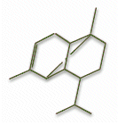 molecular structure of a-copaene.