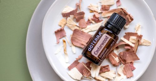Cedarwood oil with wood chips